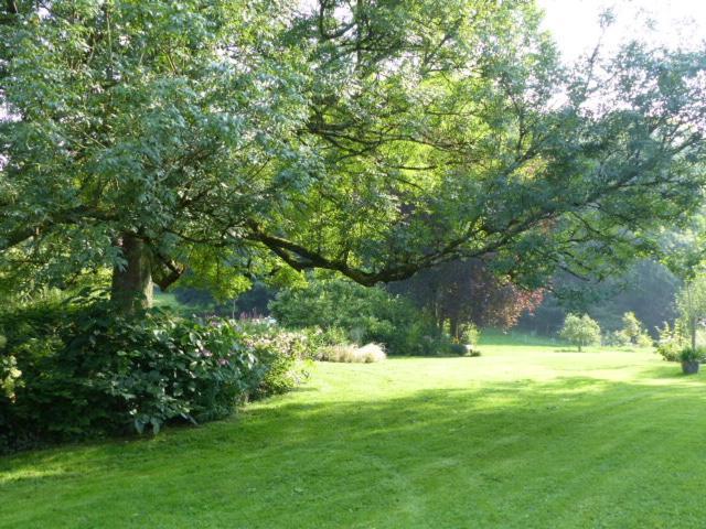 Apartament Le Jardin Du Rossignol Willeman Zewnętrze zdjęcie