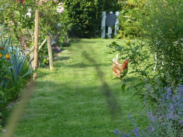 Apartament Le Jardin Du Rossignol Willeman Zewnętrze zdjęcie